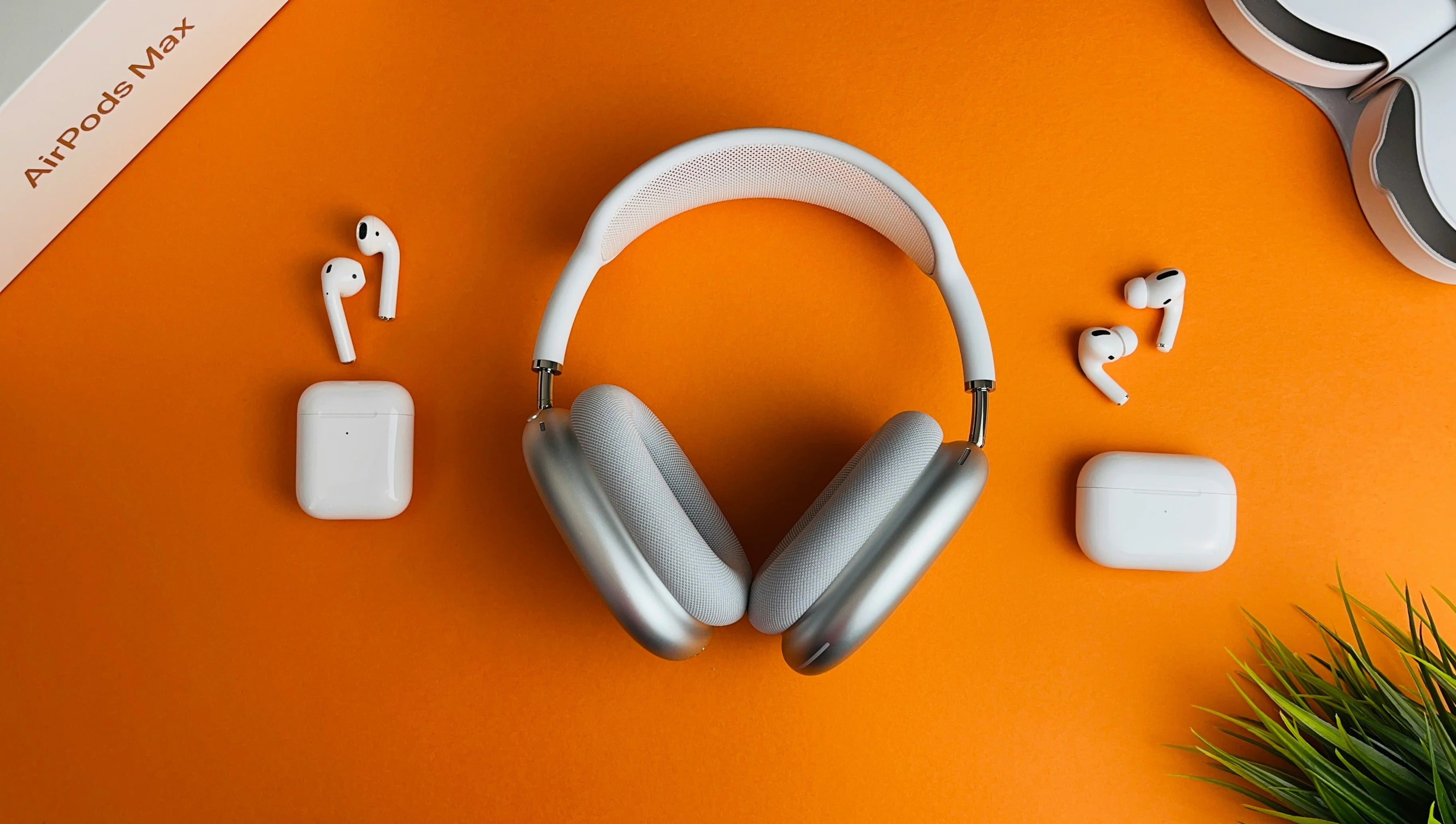 Wireless Freedom, endless possibilities.

